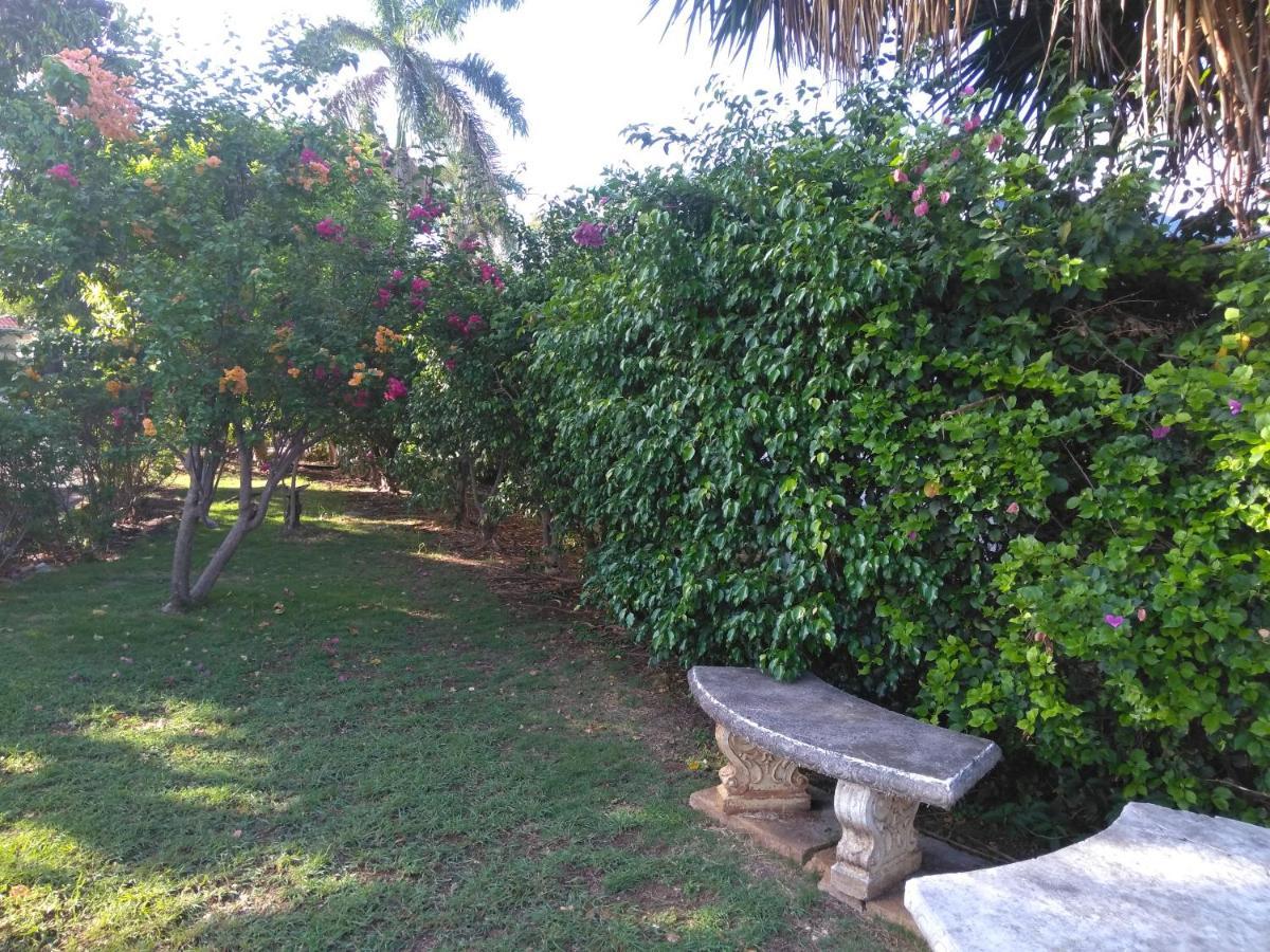 Irresistible View-Mobay Club 1408 Apartment Teluk Montego Bagian luar foto